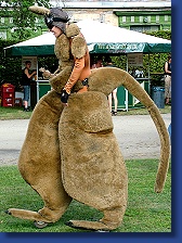 Kleines Fest - Icarus