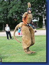 Kleines Fest - Icarus