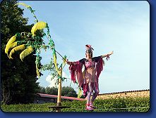 Kleines Fest - Luftgaukler