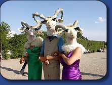 Kleines Fest - Tirza Mol Ensemble