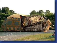 Kleines Fest - Tortue Lyre